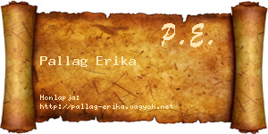 Pallag Erika névjegykártya